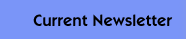 Camp of Dreams Newsletter